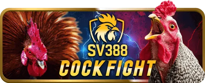 Hoàn trả hàng ngày B52club